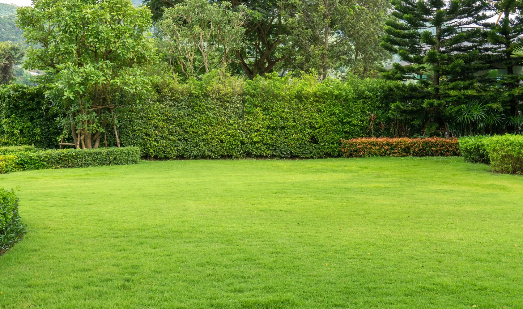 Empty backyard in Los Angeles before ADU construction showing open space ready for development
